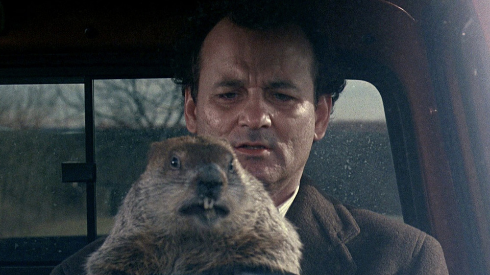 Bill Murray holding a groundhog 