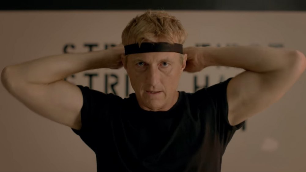 Martial Arts Expert Exposes Mistakes In Cobra Kai's Fight Scenes