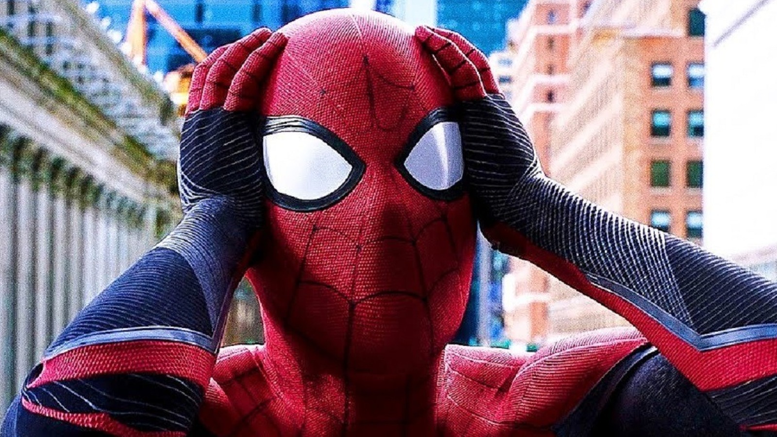 Est Ce Que Spider Man Existe