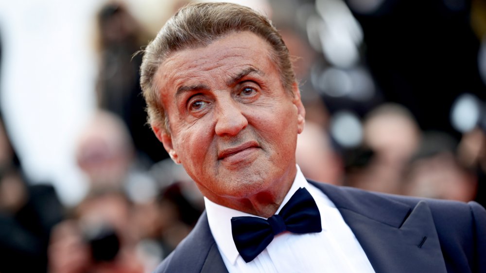 sylvester stallone just dropped some epic rocky news sylvester stallone just dropped some