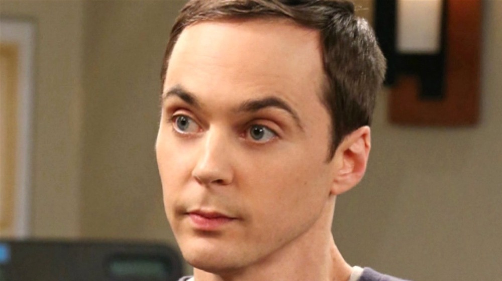 Jim Parsons, Big Bang Theory