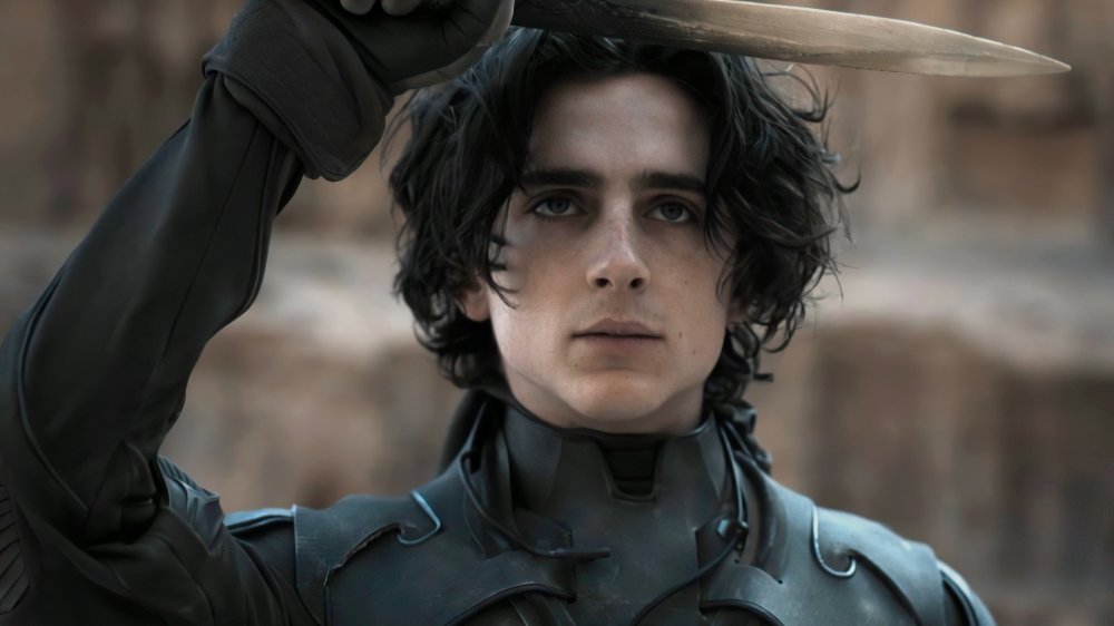 Timothee Chalamet as Paul Atreides, from Dune