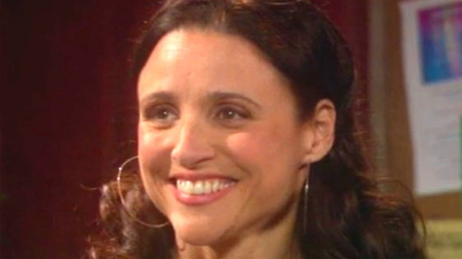 The Forgotten Julia Louis-Dreyfus Comedy Series You Can Binge On HBO Max