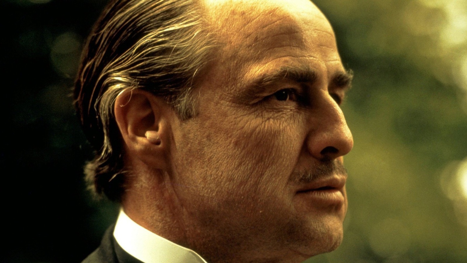 The Godfather Actors You May Not Know Passed Away - Vimarsana News