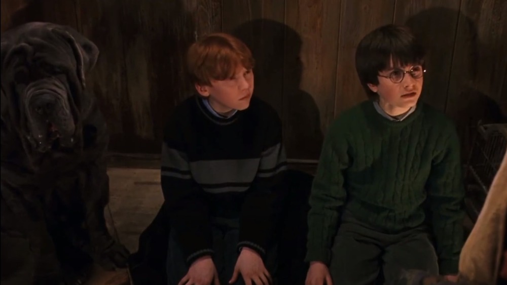 Harry Potter and Ron Weasely looking quizzical