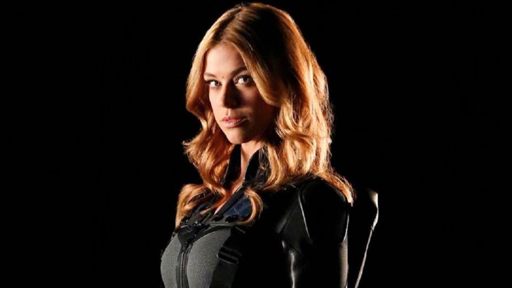 The Real Reason Adrianne Palicki Left Agents Of S H I E L D