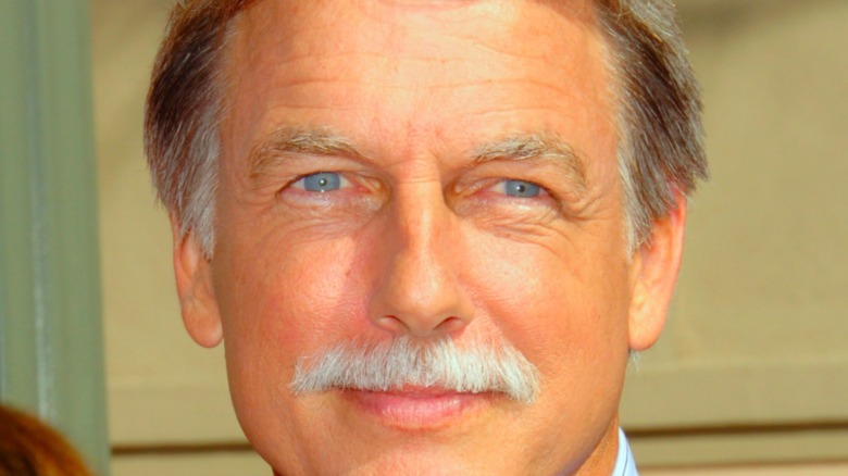Mark Harmon mustache