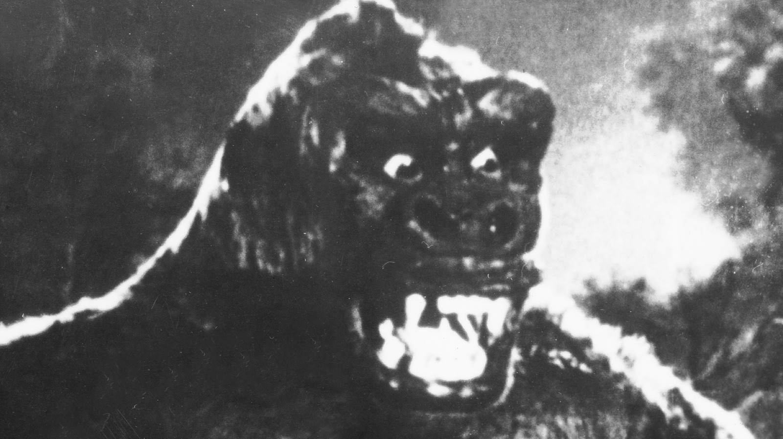 The Untold Truth Of King Kong's Creators - Vimarsana News