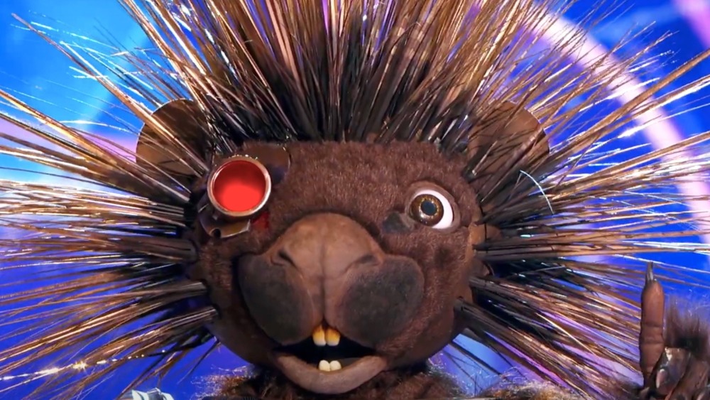 Robopine Masked Singer