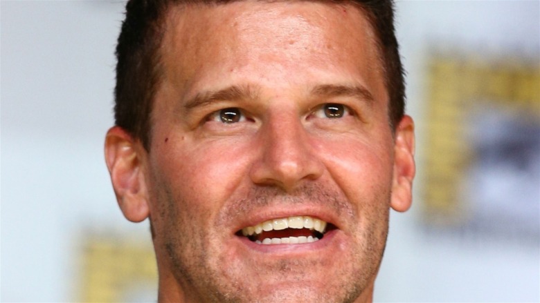 David Boreanaz Comic Con