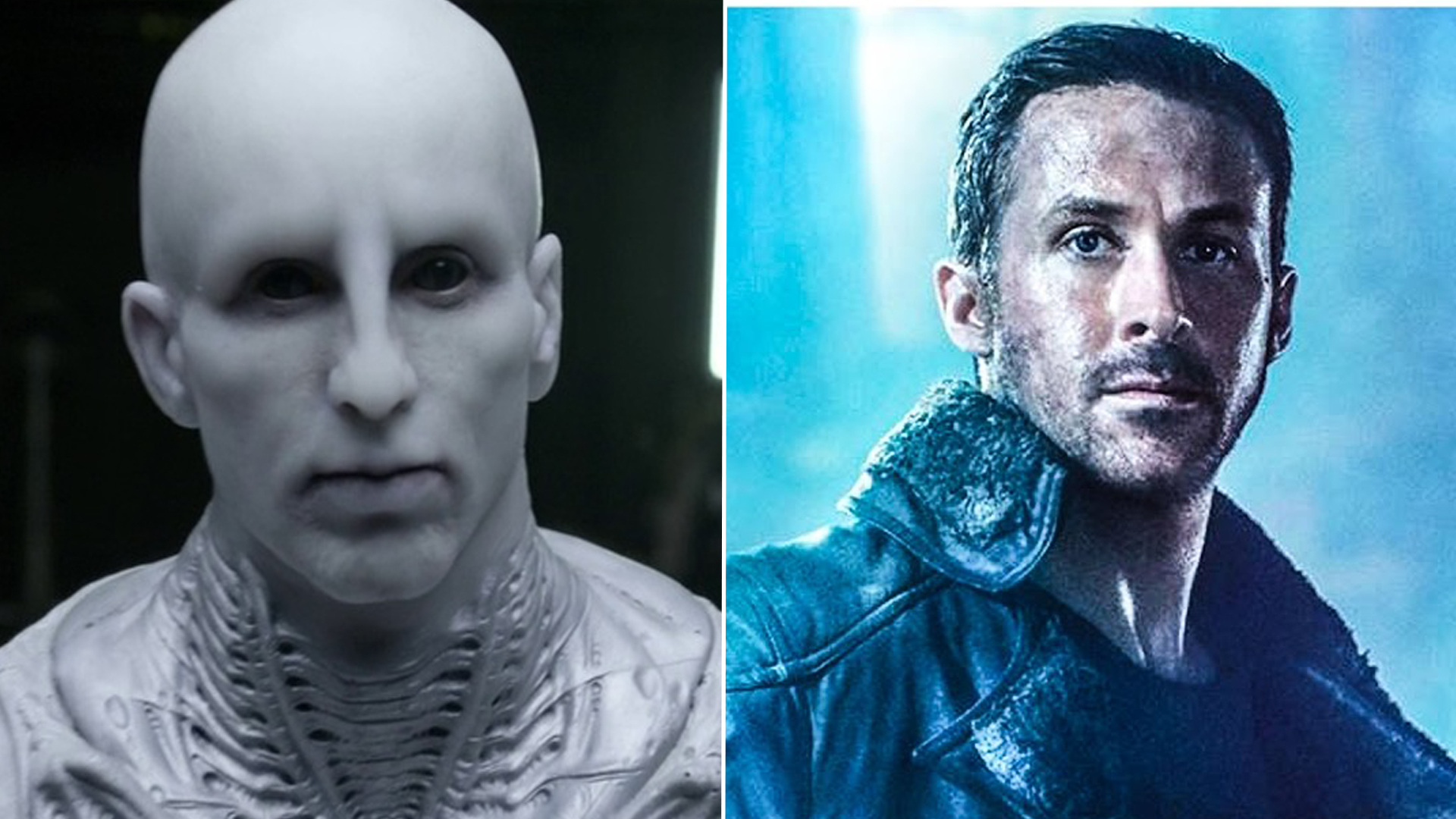 crossover movie crossover movie